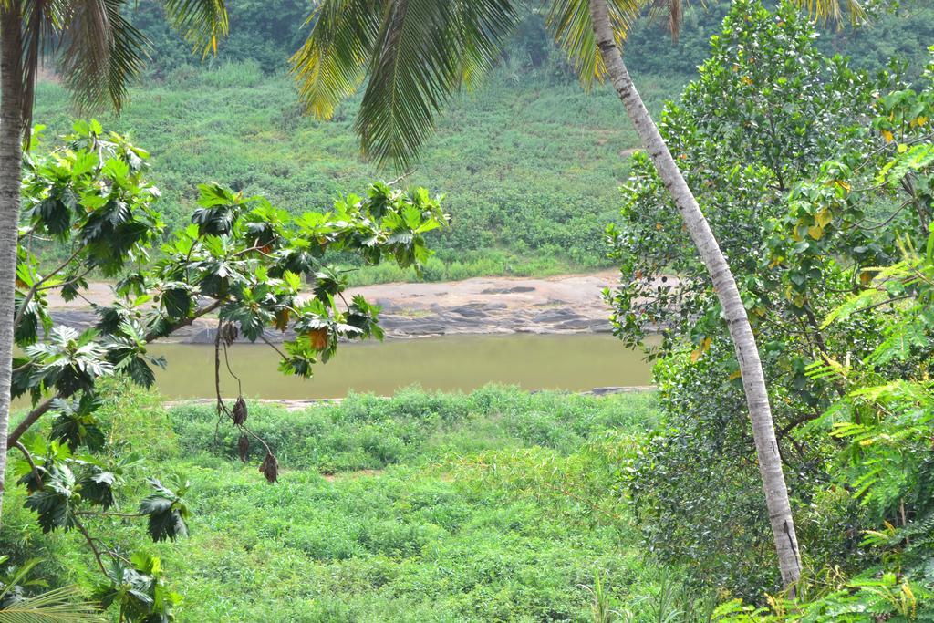 Kandy Blue Extérieur photo